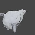 Detailed White Cow Skull With Curved Horns On Dark Background