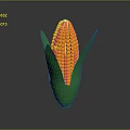 Fresh Natural Ripe Yellow Corn With Green Husks Against Gray Background
