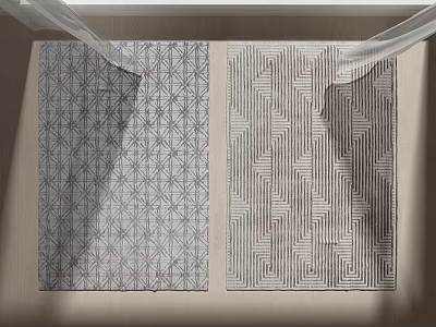 Modern Square Rugs With Two Different Geometric Patterns In Gray Tones For Home Decor 3d model