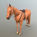 Brown Horse With Saddle And Bridle Standing In Neutral Background