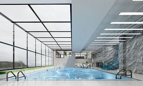 Modern Swimming Pool 3d model