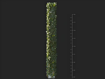Vertical Decorative Vine Structure With Height Measurement For Green Wall 3d model
