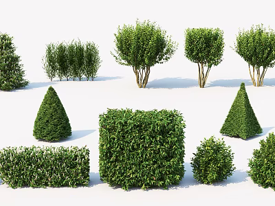 Modern shrub landscape plants 3d model Modern shrub landscape plants 3d model