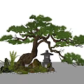 Indoor Landscape With Bonsai Pine Tree Stone Lantern Moss Small Stones And Ferns