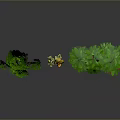 Various Green Plants And Yellow Flowers In Potted Decorative
