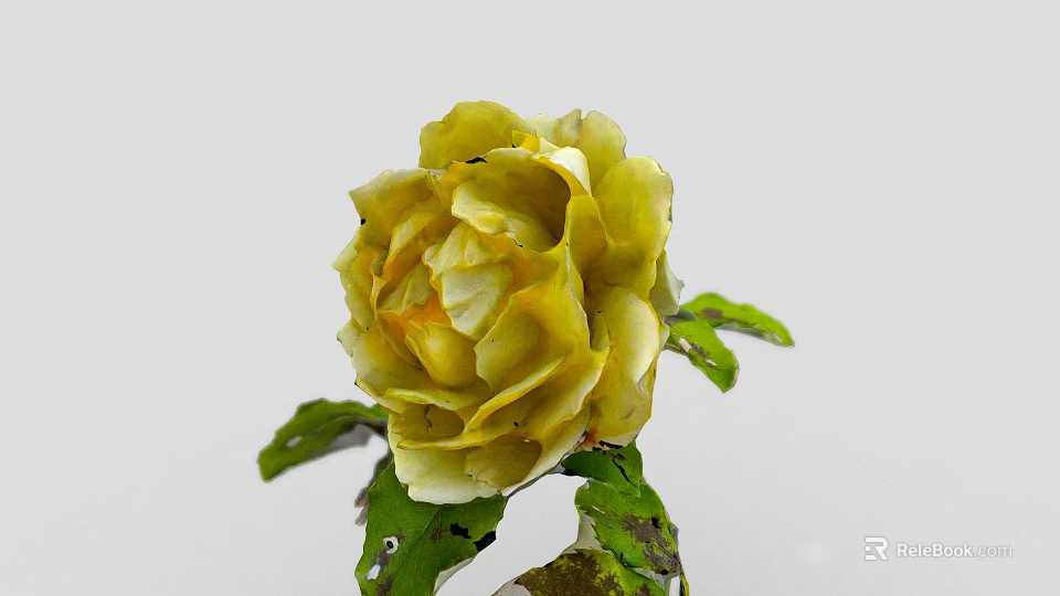 Beautiful Yellow Rose in Decorative Vase with Green Leaves on White Background 3d model 