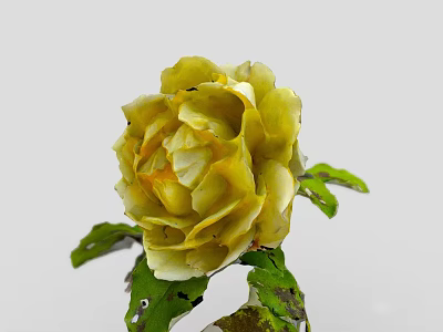 Beautiful Yellow Rose in Decorative Vase with Green Leaves on White Background 3d model