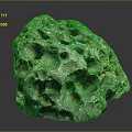 Stunning Green Porous Coral Structure With Intricate Natural Hole Patterns