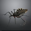 Assassin Bug With Black And White Body Red Spots Long Legs On Dark Background