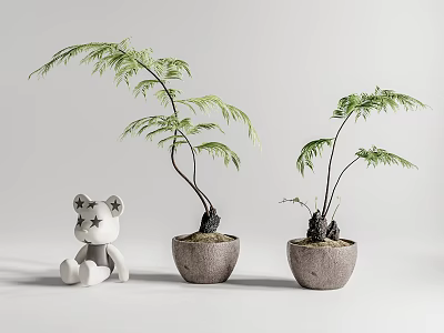 Modern Potted Fern Plant Bonsai 3d model Modern Potted Fern Plant Bonsai 3d model