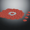 Red Granular Circular Structure With Central White Area And Adjacent Smaller Forms