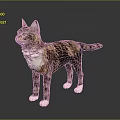 Standing Tabby And White Cat With Yellow Eyes On Smooth Gray Surface