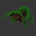 Hairy Spider With Vibrant Red And Green Markings On Body And Legs