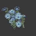 Blue Daisy Flowers With Green Leaves Clustered In Natural Garden Setting