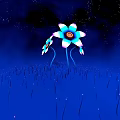 Vibrant Flowers With Blue White Orange Petals On Green Stems In Starry Blue Grass Field