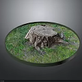 Green Plants Grass And Moss Surrounding Tree Stump In Round Display Natural Setting
