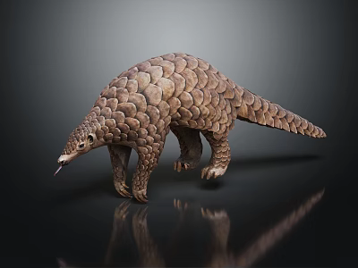 modern armadillo pangolin anteater land animal 3d model modern armadillo pangolin anteater land animal 3d model