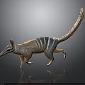 Striped Animal With Long Tail Slender Snout And Upright Ears Walking