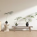 Indoor Decorative Bonsai Potted Plants with Ceramic Pots on Wooden Stands and Stone Bases