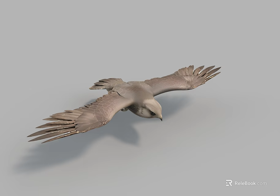 Gray Feathered Flying Animal Soaring With Spread Wings In Mid Air 3d model 