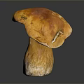 Fresh Orange Mushroom With Smooth Cap And Sturdy Stem On Black Surface 3d model