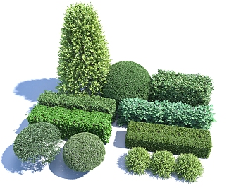 Hedgerow Shrub Plant Isolation Belt Greenbelt Hedgerwall Shrub 3d model