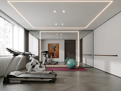 Modern Home Fitness Studio With Treadmill Exercise Bike Fitness Ball And Barre 3d model