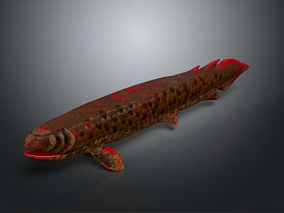 Long Body Brown And Red Spotted Fish With Red Fins On Gray Background 3d model