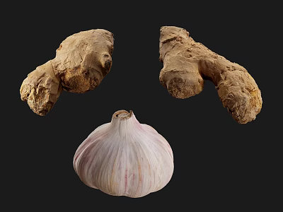 Fresh Ginger Roots and Garlic Bulb as Healthy Vegetable Ingredients for Cooking 3d model
