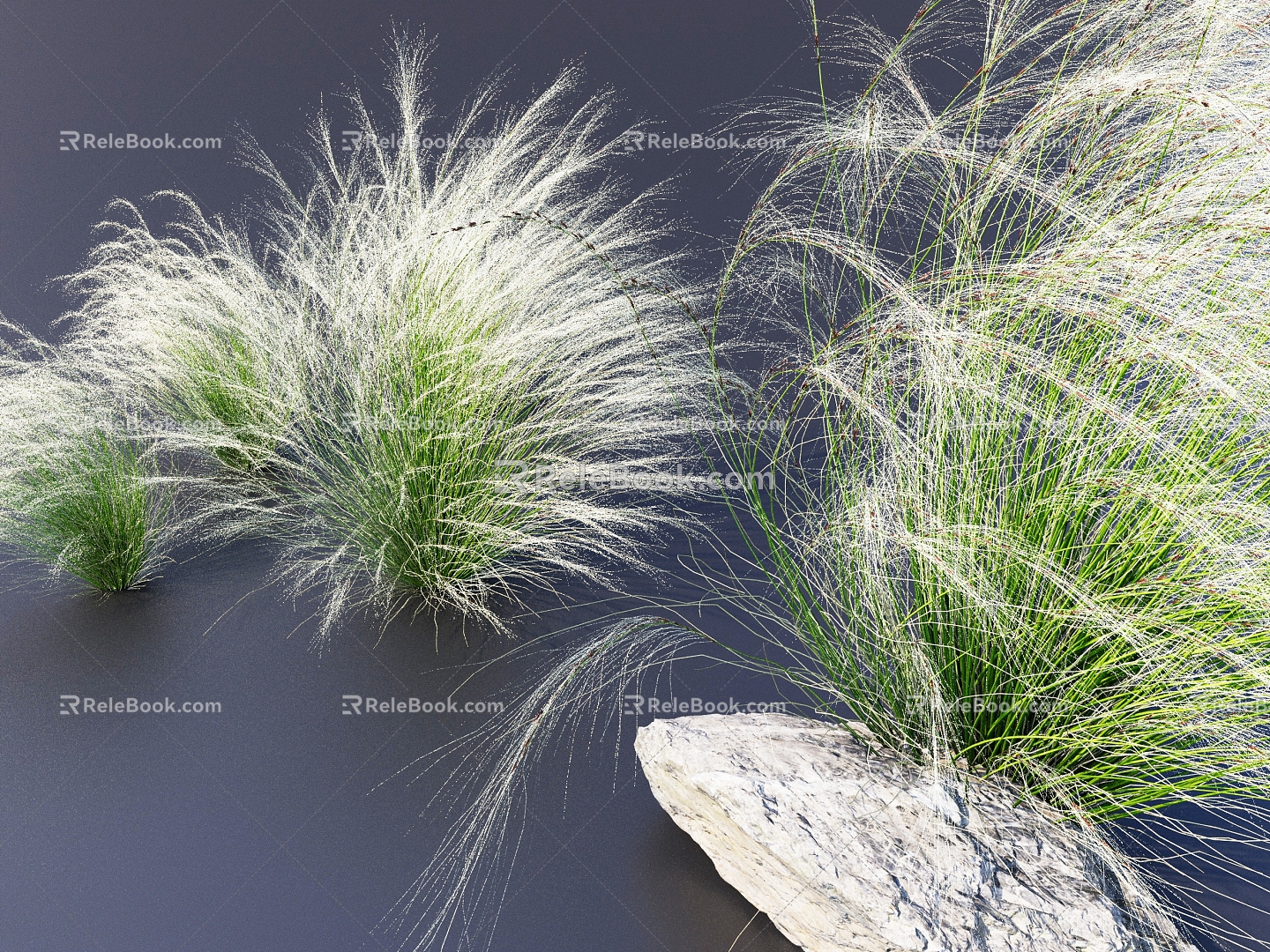 Margaret Grass Phnom Penh boxwood grass feather grass ryegrass greening grassland landscape plant 3D model 3d model