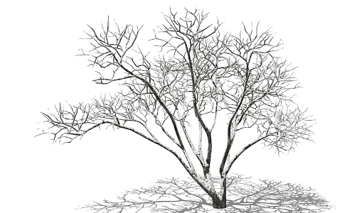 Style Winter Landscape Tree 3d model