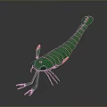 Vibrant Green Shrimp Shaped Decorative Model With Long Body Antennae Legs And Colorful Accents