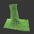 Tall Tree Trunk Covered with Green Vines and Moss at Base with Small Plants