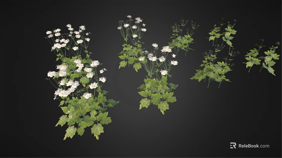 Lush Green Decorative Plants With White Flowers And Fresh Green Leaves For Home Garden 3d model 