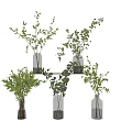 Elegant Green Leafy Plants In Glass Vases On White Shelf