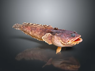 Fish Shaped Rustic Wall Decor With Realistic Texture And Natural Color 3d model