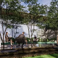 Tranquil Garden Landscape Featuring Archway Entrance White Wall Green Trees And Sunlit Path