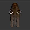 Realistic Woolly Mammoth 3D Model With Brown Fur Long White Tusks