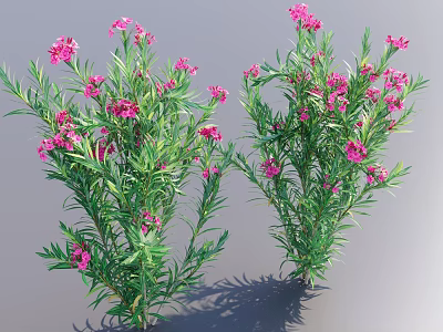Lush Green Shrubs With Pink Flowers In Outdoor Garden Setting 3d model