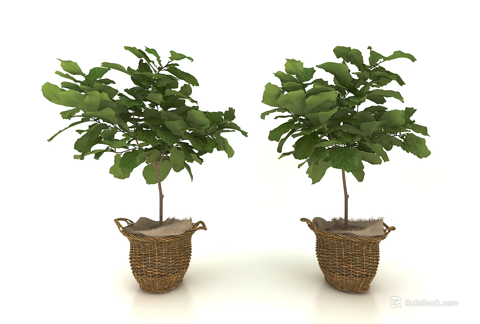 Two Potted Plants With Lush Green Leaves In Wicker Baskets For Decor 3d model 
