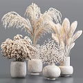 Dried Pampas Grass Hydrangea and Baby's Breath in Concrete Vases on Gray Background