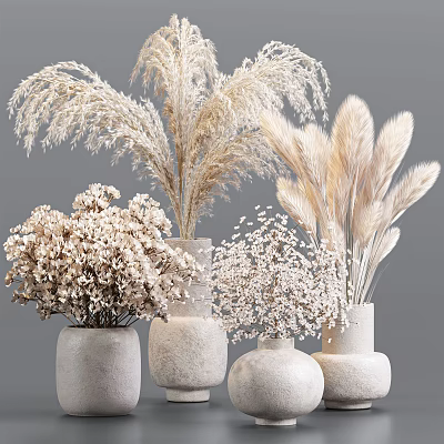 Dried Pampas Grass Hydrangea and Baby's Breath in Concrete Vases on Gray Background 3d model