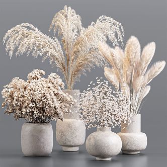 Quiet Vase Dried Flowers Potted Plant Ornaments Floral Reed Vase Kapok Cotton Decorations Flowers Dried Branches Reed 3d model