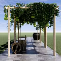 Wooden Pergola With Green Vines Hanging Fruits And Stone Pavement In Garden