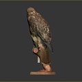 Modern Eagle Carving 3d model