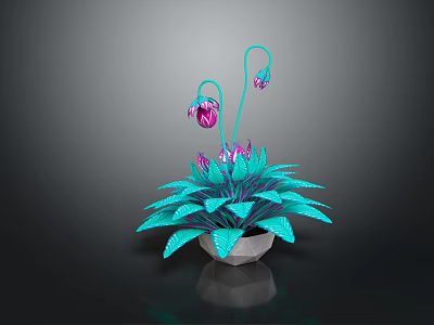 Turquoise Houseplant with Broad Leaves Curved Stems and Purple Buds in White Pot Dark Background 3d model