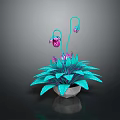 Turquoise Houseplant with Broad Leaves Curved Stems and Purple Buds in White Pot Dark Background