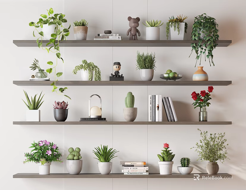Indoor Potted Plants Display on Multi Layer Shelves with Decorative Items and Books 3d model 