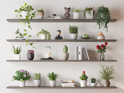 Indoor Potted Plants Display on Multi Layer Shelves with Decorative Items and Books 3d model