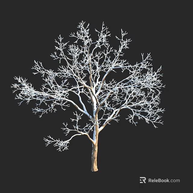 Bare Branch Arbor With Strong Trunk Standing Against Black Background 3d model